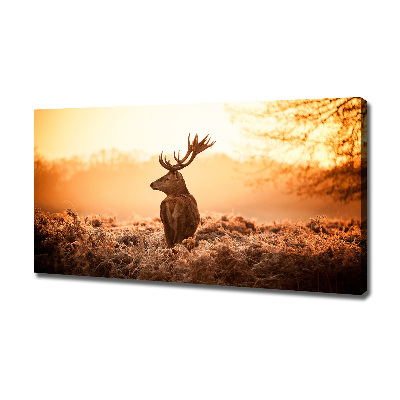Wandbild Hirsch-Sonnenaufgang