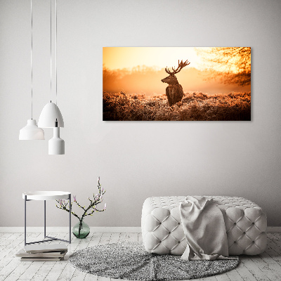 Wandbild Hirsch-Sonnenaufgang