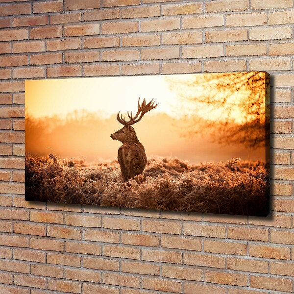 Wandbild Hirsch-Sonnenaufgang