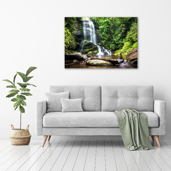 Bild auf leinwand Wasserfall im Wald
