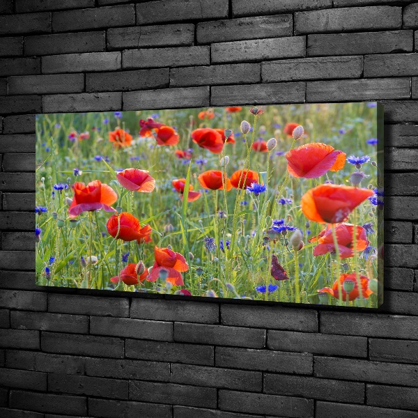 Fotobild Wildblumen