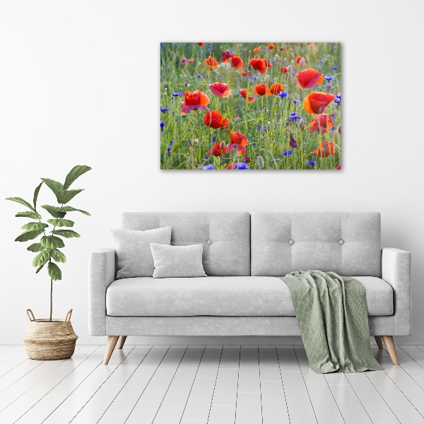 Fotobild Wildblumen