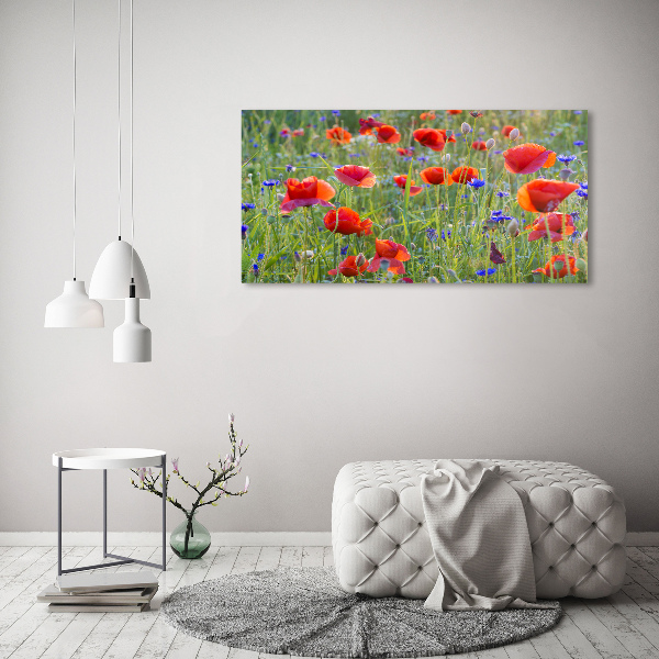 Fotobild Wildblumen