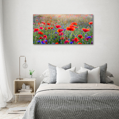 Bild auf leinwand Wildblumen