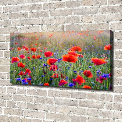 Bild auf leinwand Wildblumen