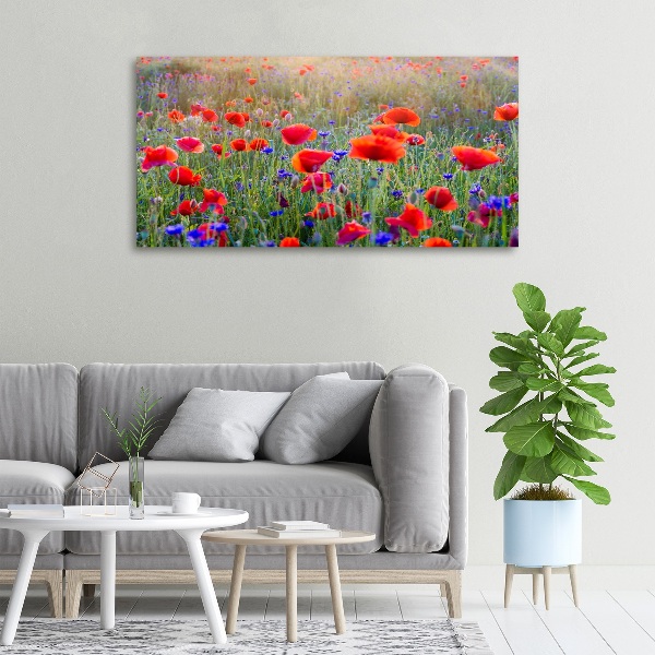 Bild auf leinwand Wildblumen