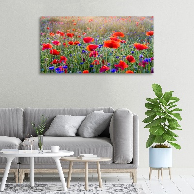 Bild auf leinwand Wildblumen