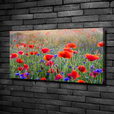 Bild auf leinwand Wildblumen