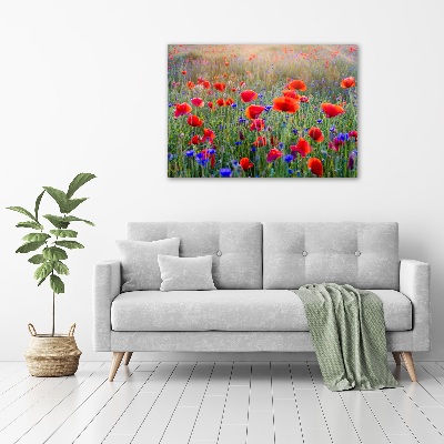 Bild auf leinwand Wildblumen
