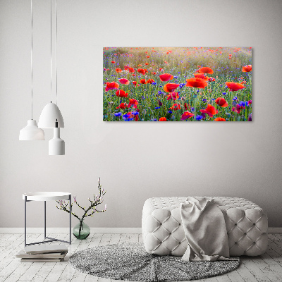 Bild auf leinwand Wildblumen