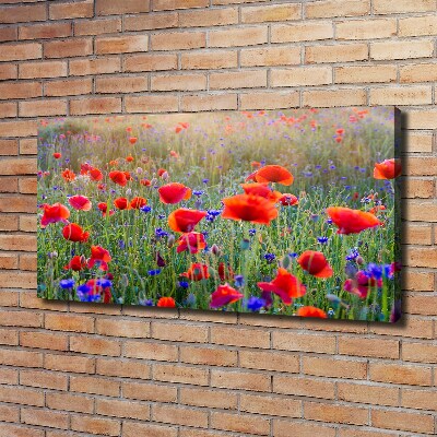 Bild auf leinwand Wildblumen