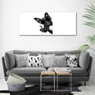 Bild auf leinwand Martini Dog