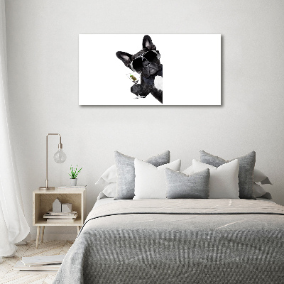 Bild auf leinwand Martini Dog