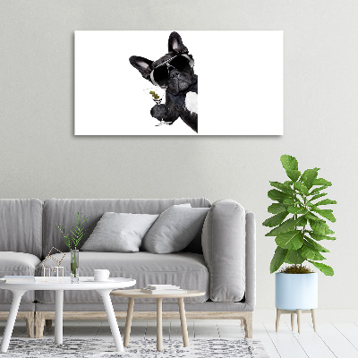 Bild auf leinwand Martini Dog