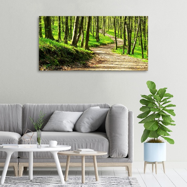 Bild auf leinwand Pfad im Wald