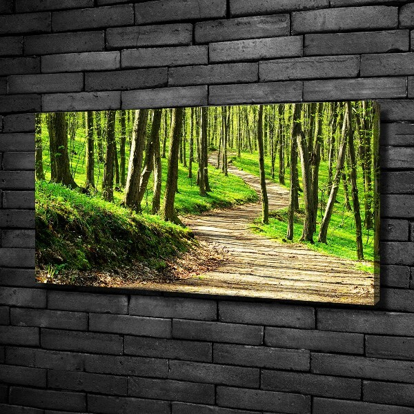 Bild auf leinwand Pfad im Wald