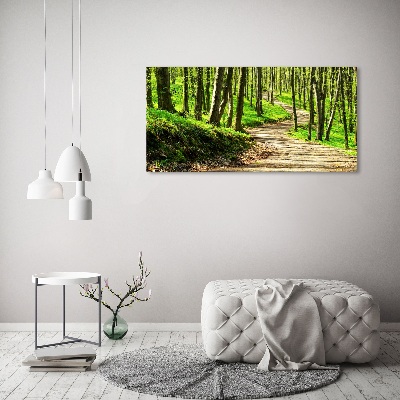 Bild auf leinwand Pfad im Wald
