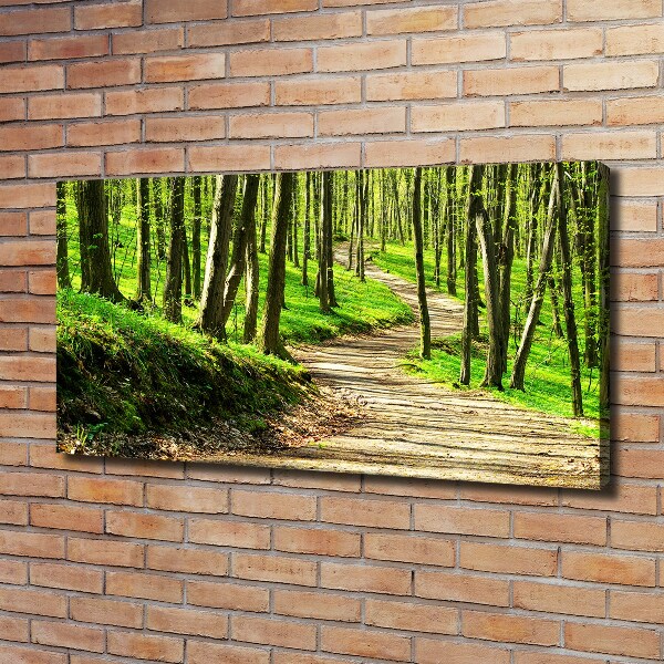 Bild auf leinwand Pfad im Wald