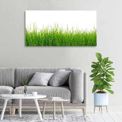 Bild auf leinwand Gras