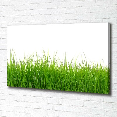 Bild auf leinwand Gras