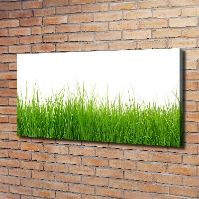 Bild auf leinwand Gras
