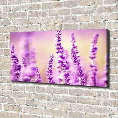 Bild auf leinwand Lavendel