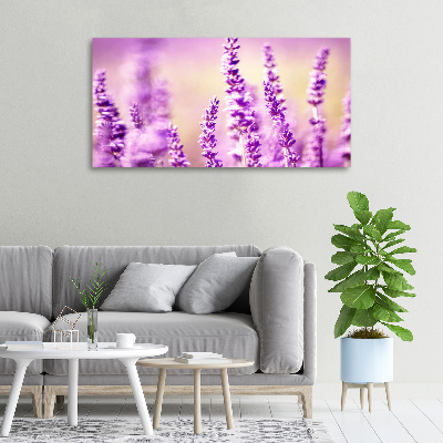 Bild auf leinwand Lavendel