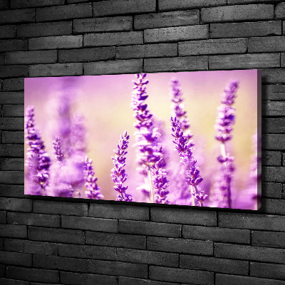 Bild auf leinwand Lavendel