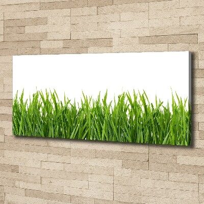Wandbild Gras