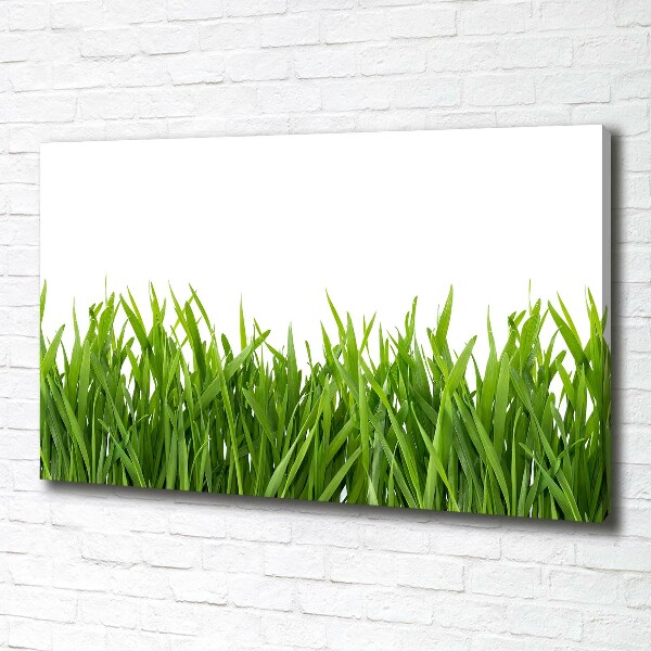Wandbild Gras