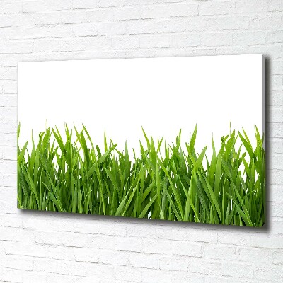 Wandbild Gras