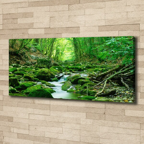 Bild auf leinwand Ein Bach im Wald