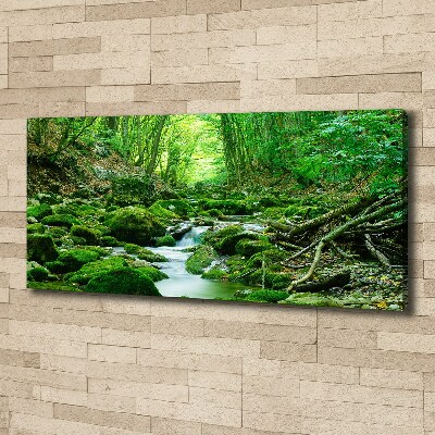 Bild auf leinwand Ein Bach im Wald