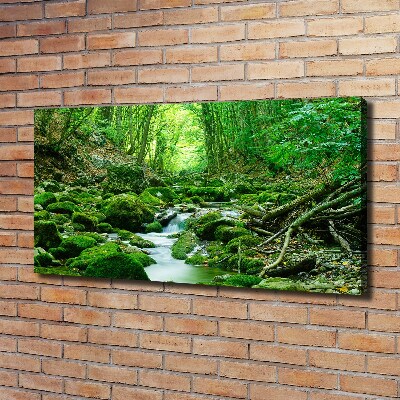 Bild auf leinwand Ein Bach im Wald