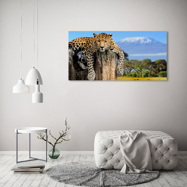 Bild auf leinwand Leopard auf einem Baumstumpf