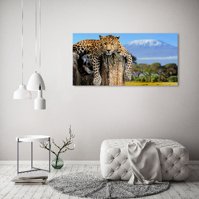 Bild auf leinwand Leopard auf einem Baumstumpf