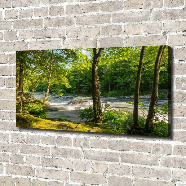 Fotobild Fluss im Wald