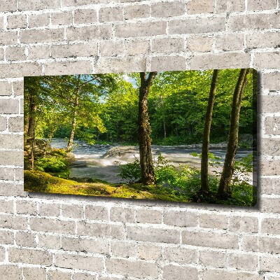Fotobild Fluss im Wald