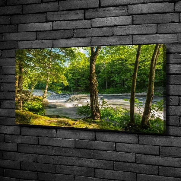 Fotobild Fluss im Wald