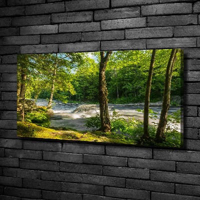Fotobild Fluss im Wald