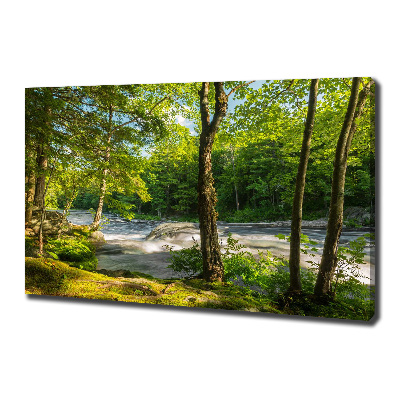 Fotobild Fluss im Wald