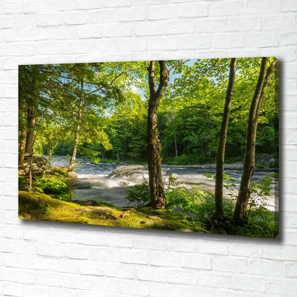 Fotobild Fluss im Wald