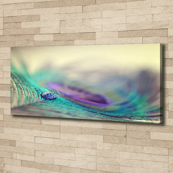 Bild auf leinwand Ein Tropfen auf einer Feder