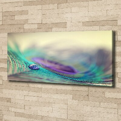 Bild auf leinwand Ein Tropfen auf einer Feder