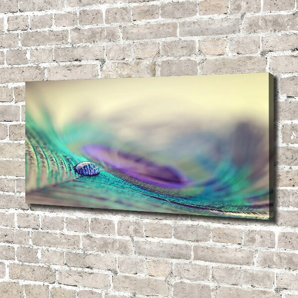 Bild auf leinwand Ein Tropfen auf einer Feder