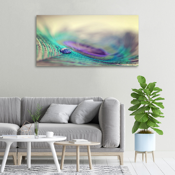 Bild auf leinwand Ein Tropfen auf einer Feder