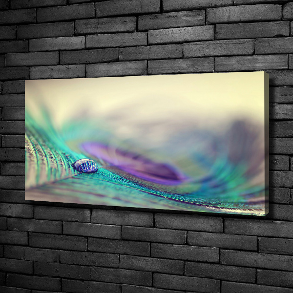 Bild auf leinwand Ein Tropfen auf einer Feder