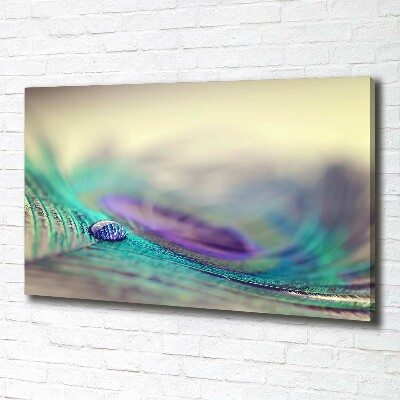 Bild auf leinwand Ein Tropfen auf einer Feder