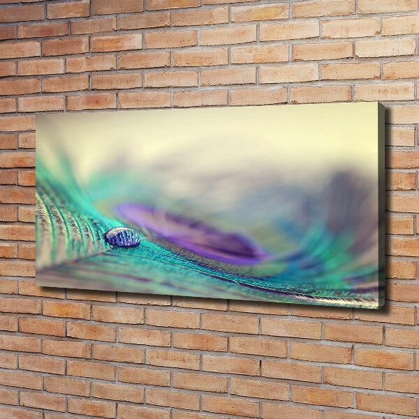 Bild auf leinwand Ein Tropfen auf einer Feder