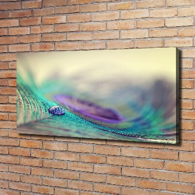 Bild auf leinwand Ein Tropfen auf einer Feder